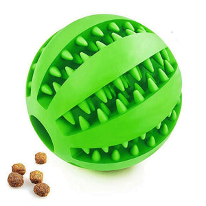 Green treat ball with kibble on the side