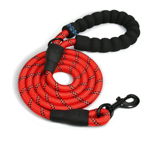 Black rope leash wrapped up