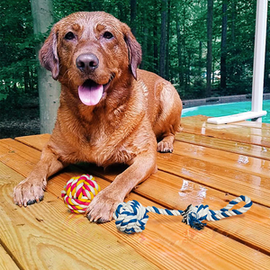 Two rope toys for dogs. One normal rope and one rope ball